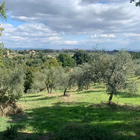 Villa Mami, Siena, Intera A Uso Esclusivo Con Piscina Privata